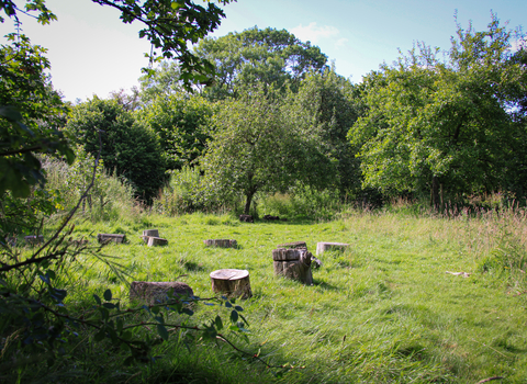 Foxburrow nature reserve