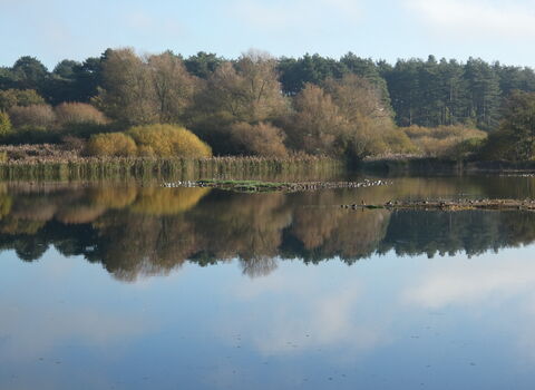 Slough - November 11th 2025