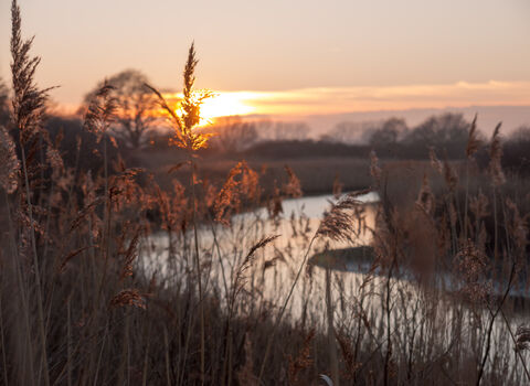 Suffolk river at sunset