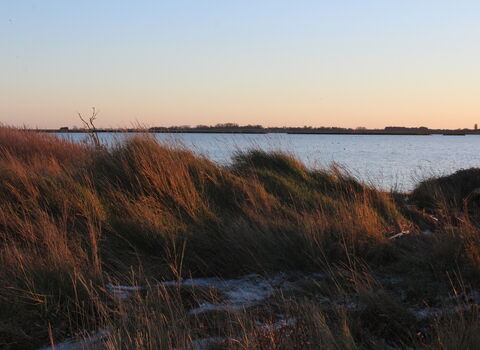 A sunset view looking over long grass toward open water