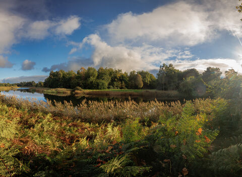 Lound Lakes, Autumn 2025