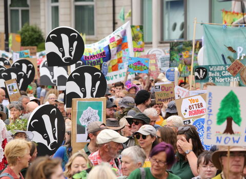 People marching and holding colourful banners with wildlife including badgers