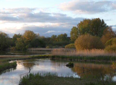 View over lake and reedbed